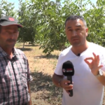 ABDULLAHIN CEVİZ BAHÇESİ