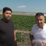 bezme tarım