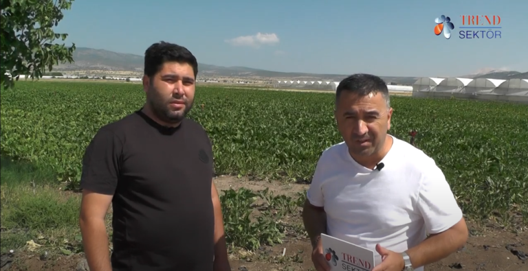 bezme tarım