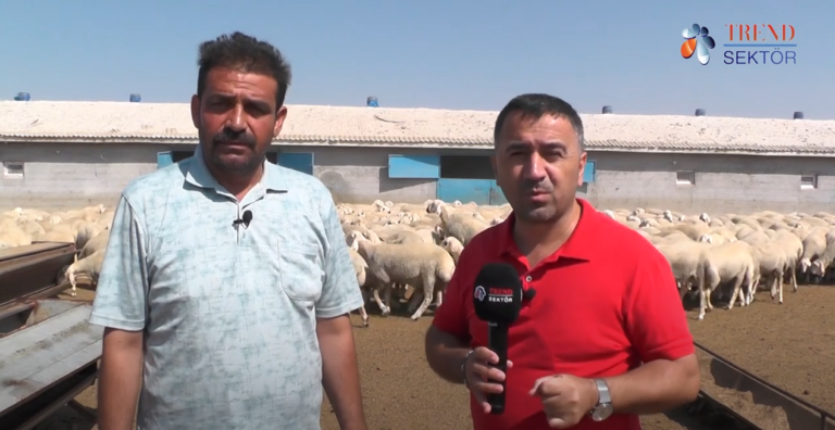 pektaşlar tarım